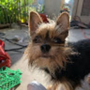 Meet your Posher, Retrowtf